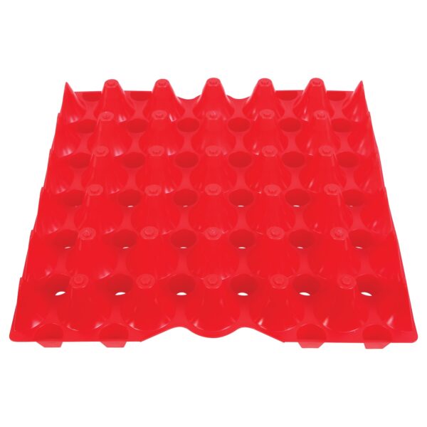 Egg Tray
